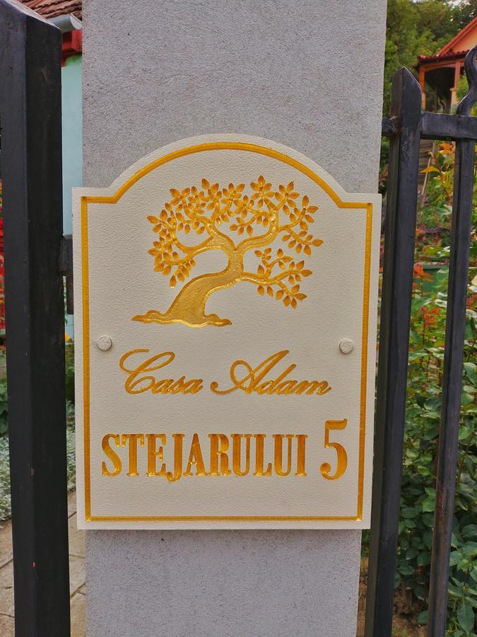 Casa Adam Hotel Сигишоара Екстериор снимка